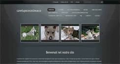 Desktop Screenshot of canelupocecoslovacco-parma.com