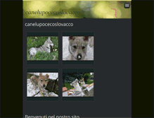Tablet Screenshot of canelupocecoslovacco-parma.com